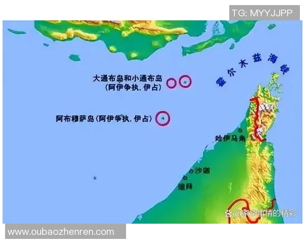 赖斯在国际舞台上的崛起与影响力分析及其对全球政治格局的深远影响